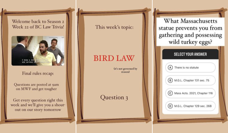 Three instagram story posts side by side with a light brown background and dark brown border. The trivia question is, "What Massachusetts statue prevents you from gathering and possessing wild turkey eggs?"